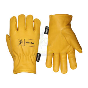 Winter Driver Leather Gloves