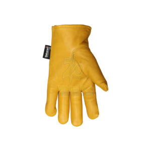 Winter Driver Leather Gloves
